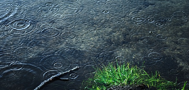 ripples in a lake caused by rain drops